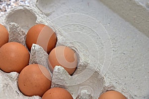 Ð¡hicken eggs in a cardboard package