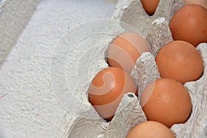 ÃÂ¡hicken eggs in a cardboard package