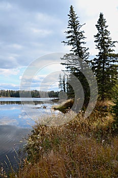 Hickey Lake Shoreline, Duck Mountain, Provincial Park, Manitoba