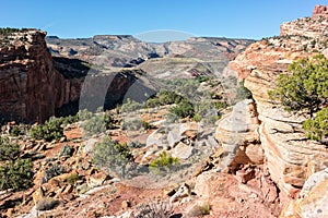 Hickman Bridge Trail