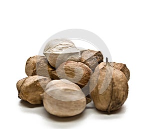 Hickory Nuts