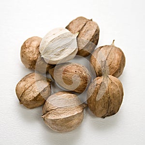 Hickory Nuts