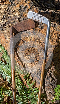 Vintage hickory shafted golf clubs isolated