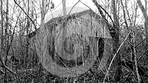 Hidden barn in the forest