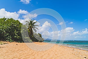 Hidden beach in Puerto Rico with Palm trees and turquoise waters