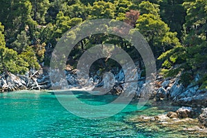 Hidden beach surrounded with pine trees and crystal clear turquoise water near Cape Amarandos at Skopelos island