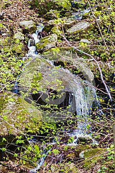 Hidden Cascading Waterfall in the Blue Ridge Mountains