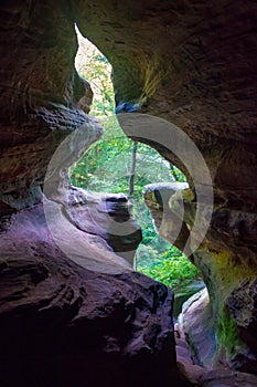 Hidden cavern overlooking a forest