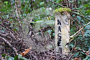 Hidden concrete pillar in the forest, denoting the cable of the Soviet Union during the Cold War