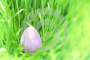 Hidden Easter egg in green grass