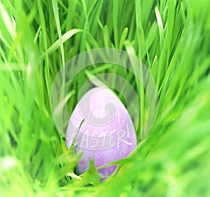 Hidden Easter egg in green grass