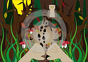 Hidden forest tracks