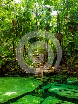 Sacred cenote azul in Tulum, Yucatan Peninsula, Mexico photo