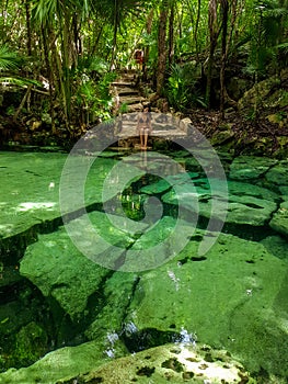 Sacred cenote azul in Tulum, Yucatan Peninsula, Mexico photo