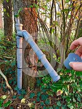 Hidden geocache in the forest