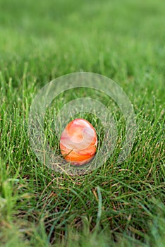 Hidden in the grass Easter red egg, which is painted in different colors