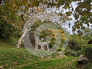 Hidden home in the woods