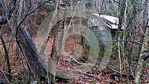 Hidden hut in the forest