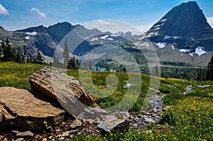 Hidden Lake Trail, Glacier National Park, Montana, USA photo