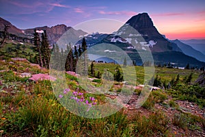 Hidden Lake Trail, Glacier National Park, Montana, USA