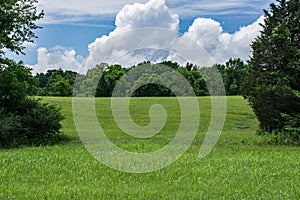 Hidden Meadow with Storm Clouds