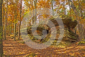 Hidden Mushroom Rocks in the Fall Forest