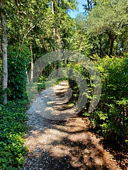 Hidden Path into the Trees. Williamsburg, VA photo