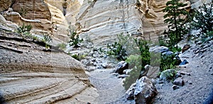 Hidden Slot Canyon