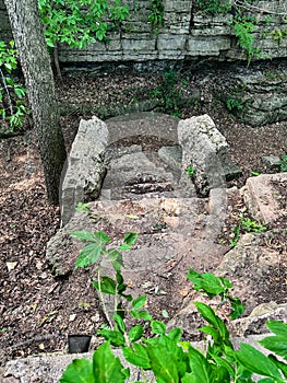 Hidden stairs at High Cliff State Park in Wisconsin