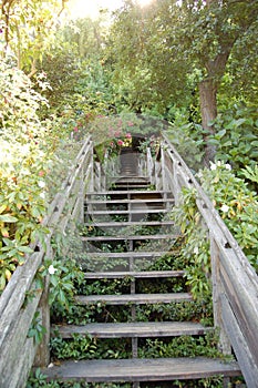 Hidden Stairway on Telegraph Hill photo