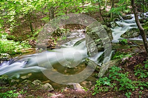 Hidden Stream in the Blue Ridge Mountains