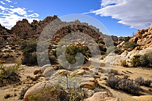 Hidden Valley, Joshua Tree National park