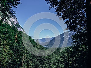 Hidden view from a forest