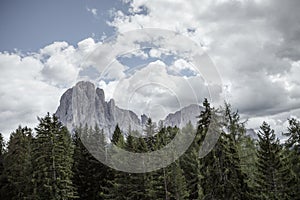 hidden view on Sasso Lungo group from an alpine forest in Dolomites