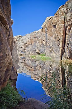 Hidden Water Hole in Desert