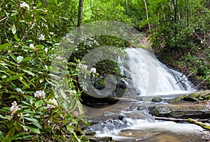 Hidden waterfall on Lake Nantahala