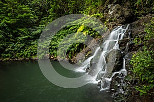 Hidden waterfall and pool deep in the Hawaiian rainforest
