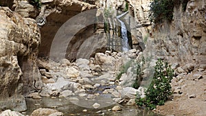 Hidden waterfall in Wadi Arugot , Israel