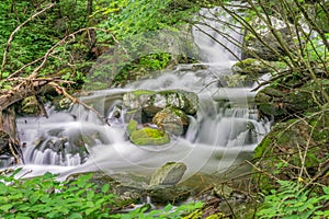 Hidden Waterfalls in the Blue Ridge Mountains