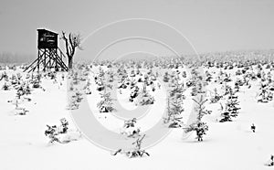 A Hide in Frozen Misty Forest in Winter Landscape