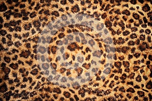 Hide of leopard pattern for background