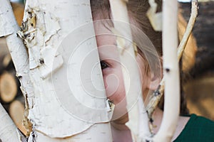 Hide and seek rural rustic scene with cute toddler girl behind a birch tree