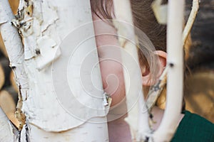 Hide and seek rural rustic scene with cute toddler girl behind a birch tree