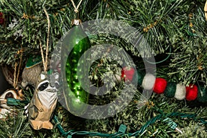 Hiding the Christmas Pickle