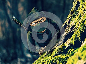 Hiding Ninja