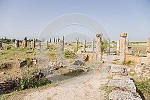 Hierapolis, Turkey. Columns, standing along the Frontinus street, 1st century AD