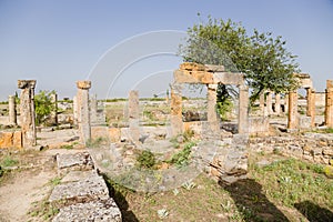 Hierapolis, Turkey. Ruins of the colonnade at Frontinus street, 1st century AD. UNESCO list