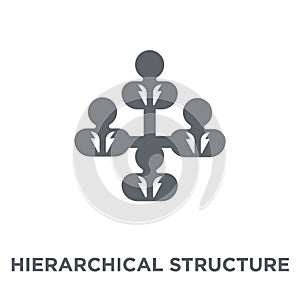 Hierarchical structure icon from Human resources collection.
