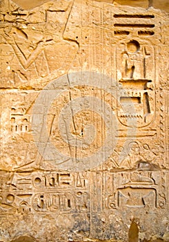 Hieroglyph background