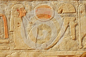 Hieroglyph for Female
